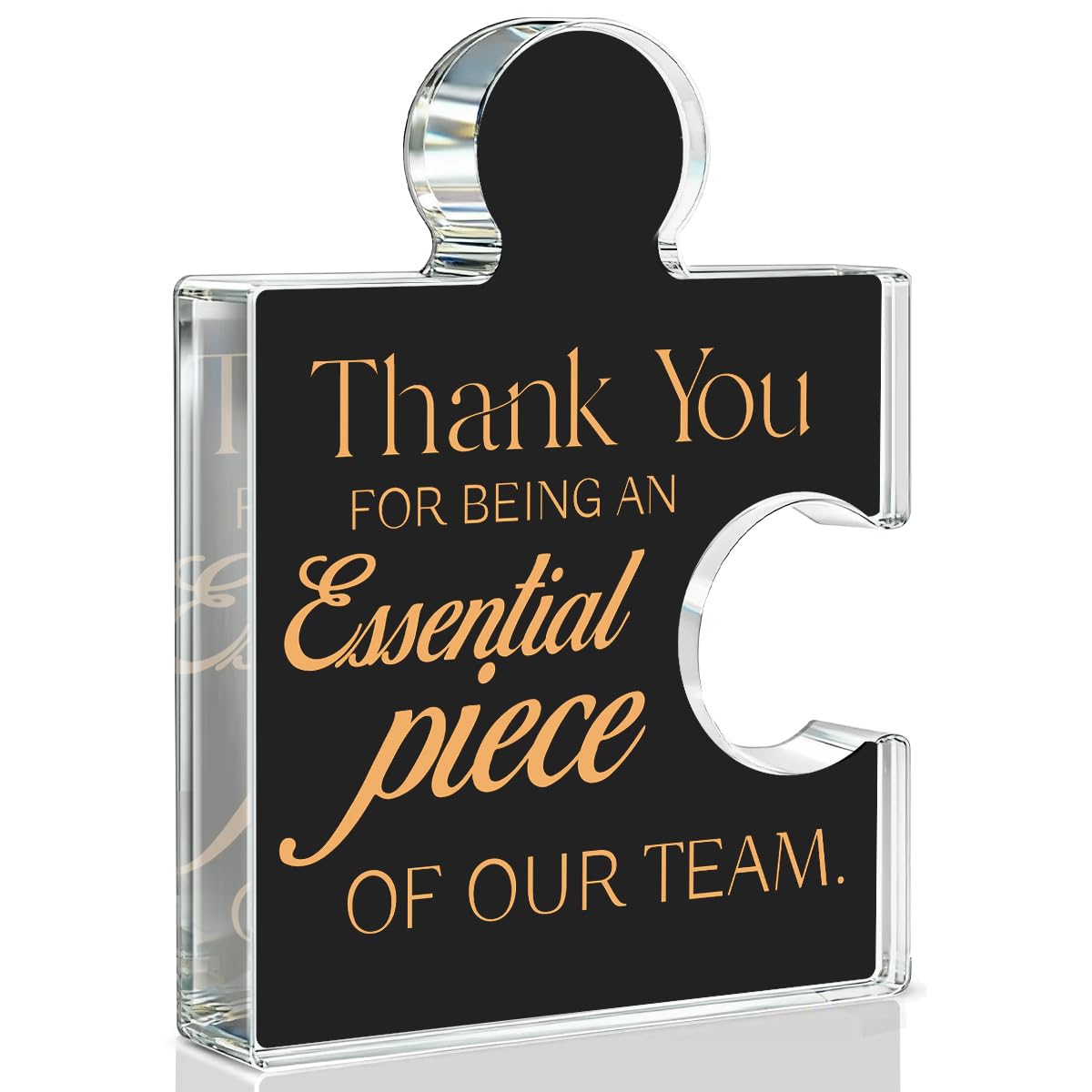 Thank You Gifts Retirement Goodbye Gift for Coworkers Women Men